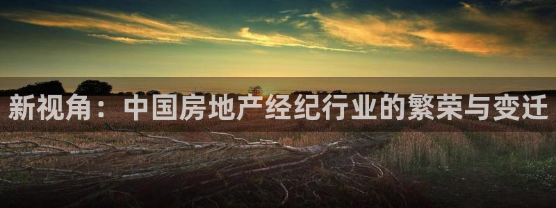 新宝5平棋牌：新视角：中国房地产经纪行业的繁荣与变迁