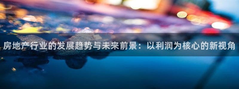 菲律宾新宝5老板：房地产行业的发展趋势与未来前景：以利润为核