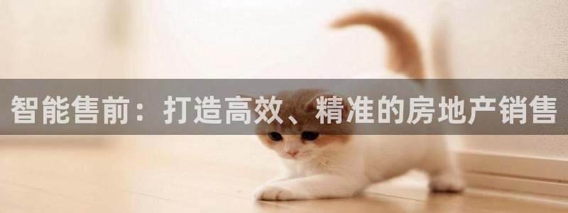 新宝5官网app：智能售前：打造高效、精准的房地产销售