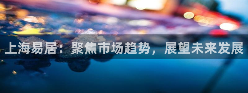 新宝娱乐5入口：上海易居：聚焦市场趋势，展望未来发展