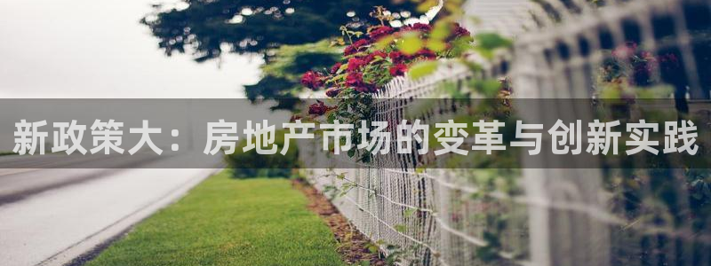 新宝5代理：新政策大：房地产市场的变革与创新实践