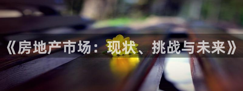 新宝5挂机软件：《房地产市场：现状、挑战与未来》