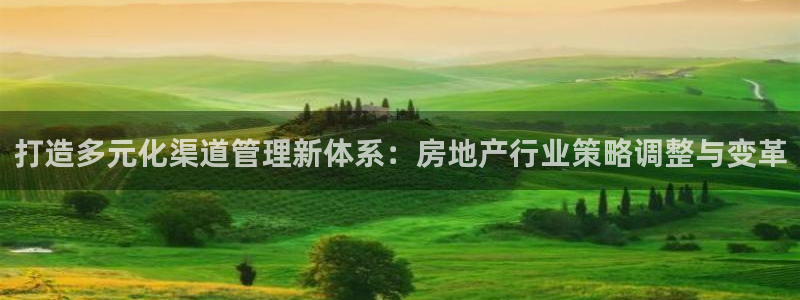 新宝5娱乐登陆：打造多元化渠道管理新体系：房地产行业策略调整