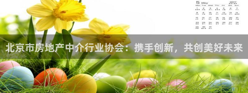新宝股东张听2 5 5：北京市房地产中介行业协会：携手创新，