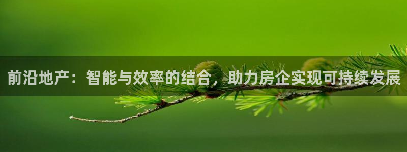 新宝5户端：前沿地产：智能与效率的结合，助力房企实现可持续发