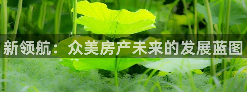 新宝5挂机软件：新领航：众美房产未来的发展蓝图