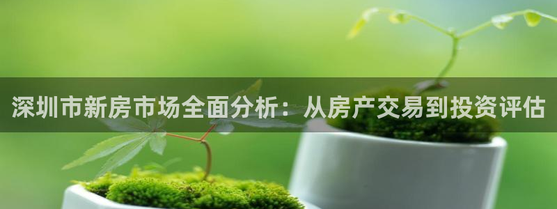 新宝5平台登陆：深圳市新房市场全面分析：从房产交易到投资评估