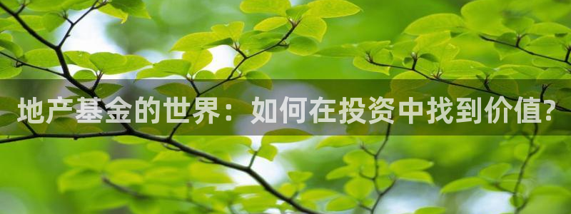 新宝6霸哥5：地产基金的世界：如何在投资中找到价值?
